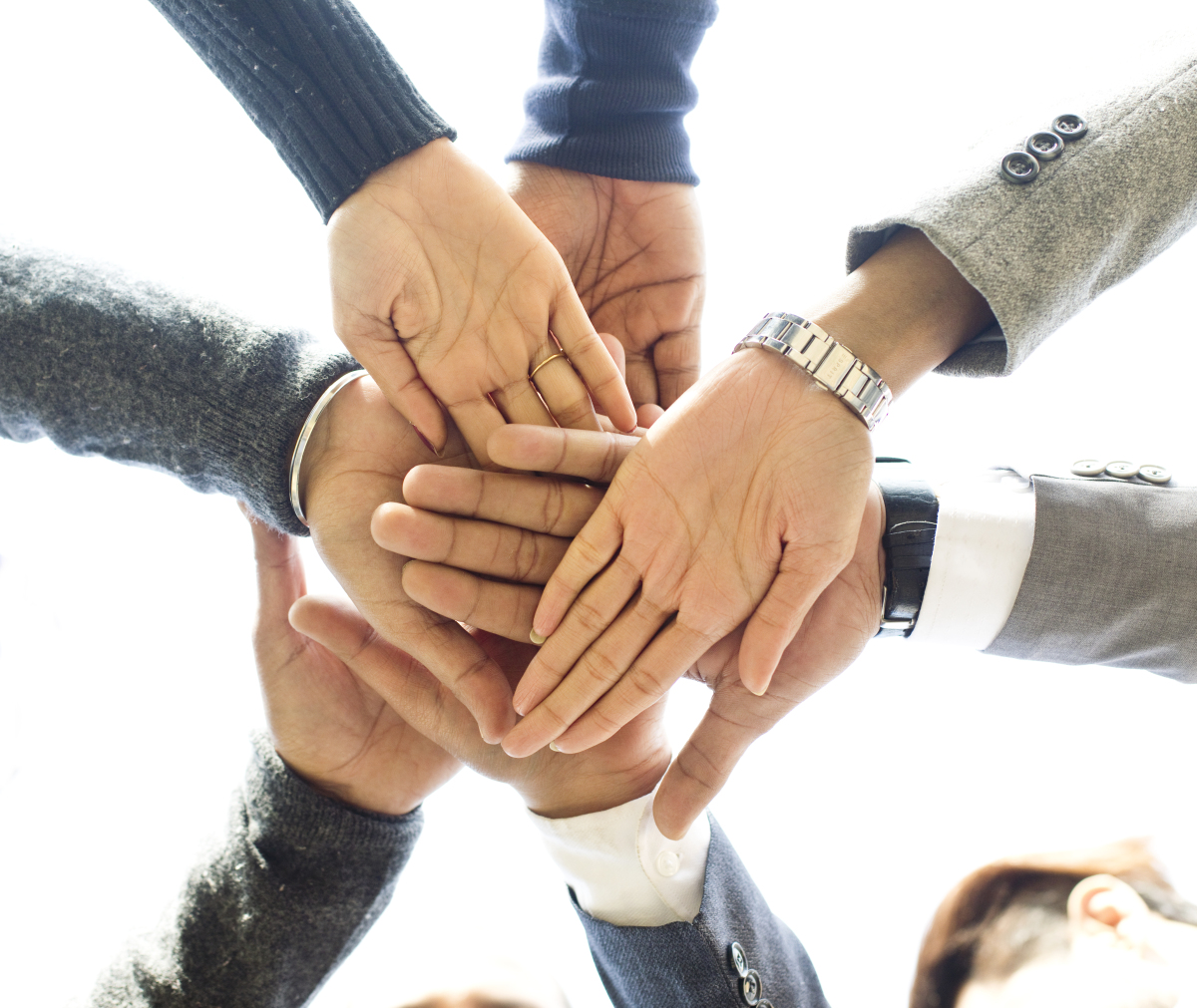 默契配合!团队整体表现亮眼 默契配合!团队整体表现亮眼