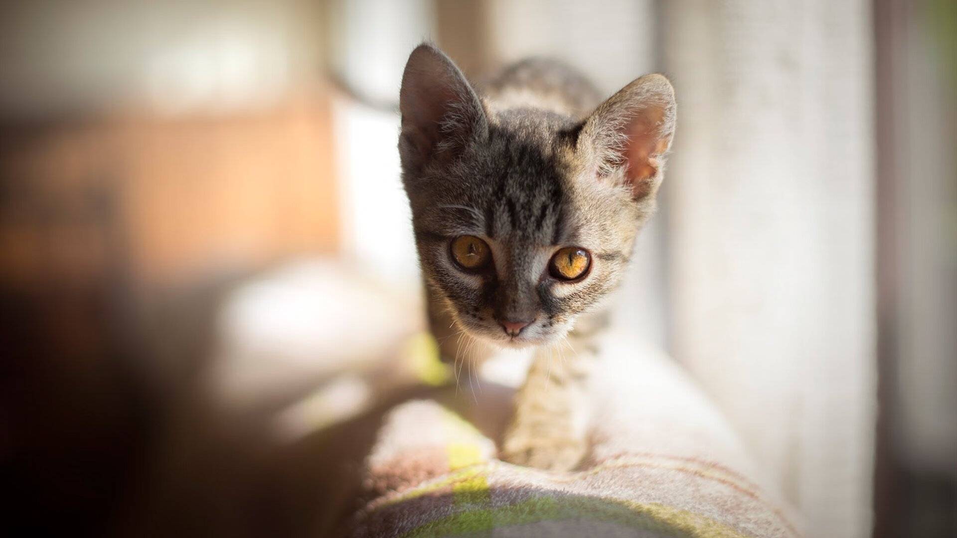 掘金强压76人,利拉德式接管在英超争冠的启示