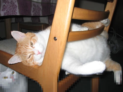 法比尼奥的纪录之夜与马赛的团队诗篇,足球天平上的两端