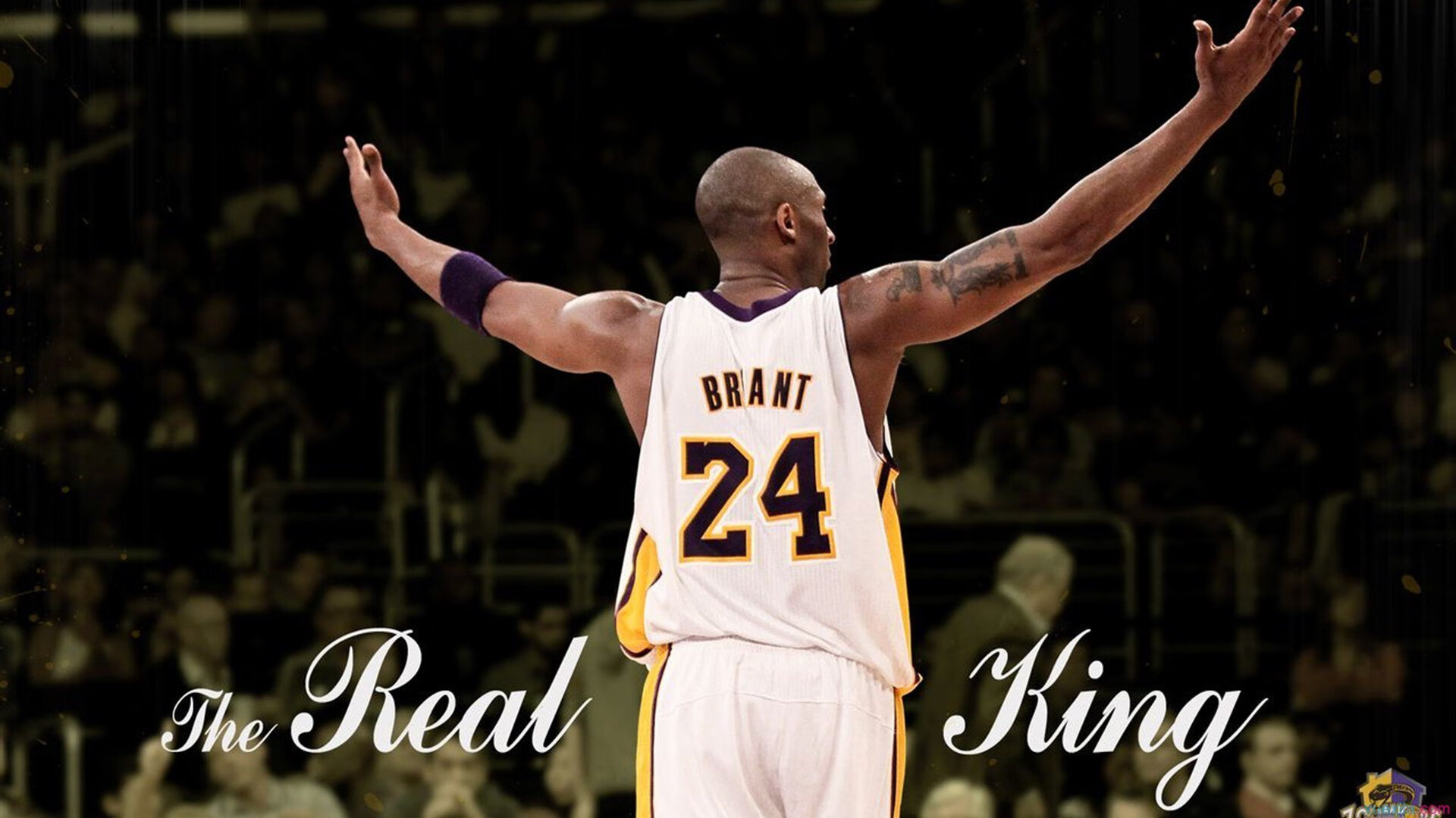 篮球之夜,爵士冲垮广厦,东契奇欧冠半决赛接管比赛